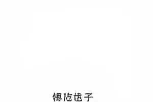 《旧钟楼谜案》封面，雨夜中的哥特式钟楼